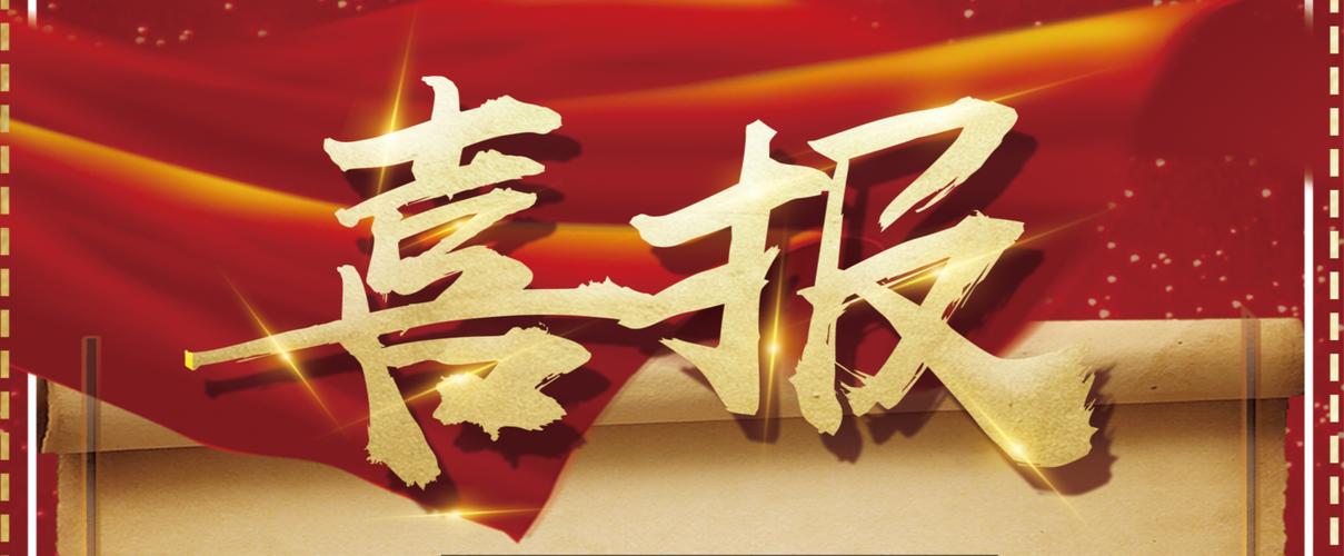 站群与泛目录的互补关系分析